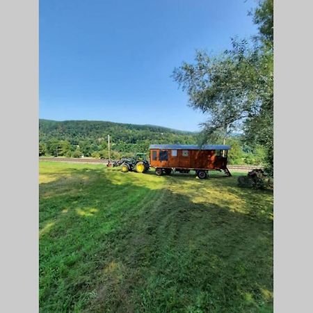 Ferienwohnung Autarkes Tiny House mit Rheinblick Rumikon Exterior foto