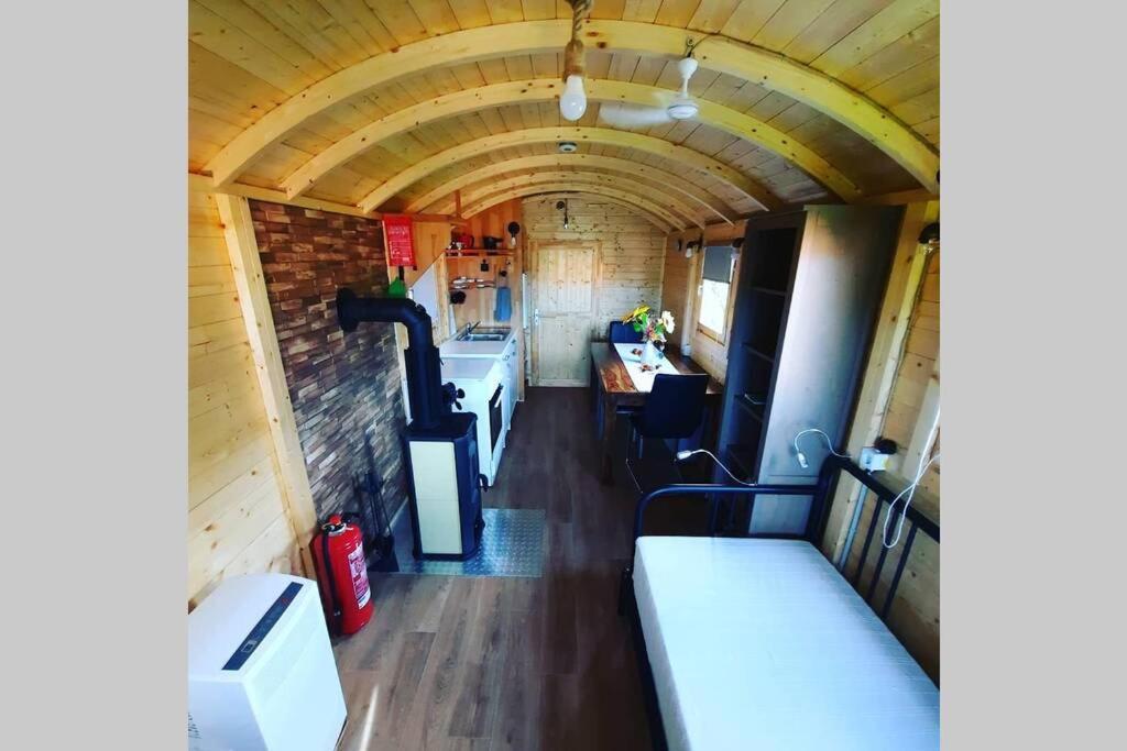 Ferienwohnung Autarkes Tiny House mit Rheinblick Rumikon Exterior foto