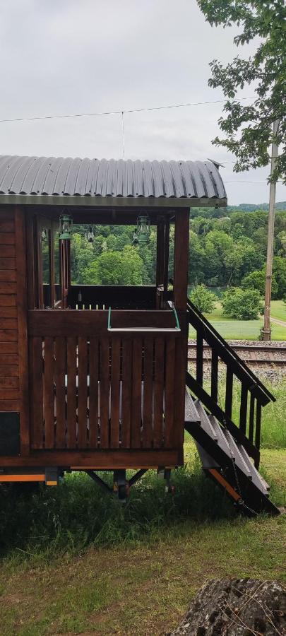 Ferienwohnung Autarkes Tiny House mit Rheinblick Rumikon Exterior foto